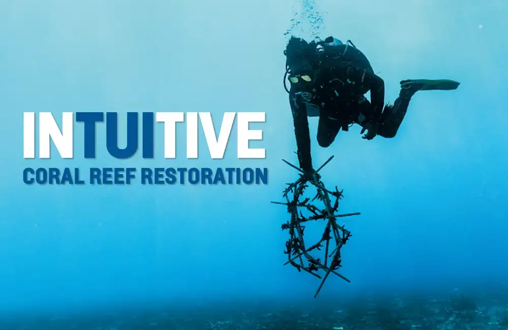 By Mark ‘Crowley’ Russell Scuba diving eco-tourism has seen a