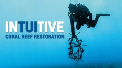 By Mark ‘Crowley’ Russell Scuba diving eco-tourism has seen a