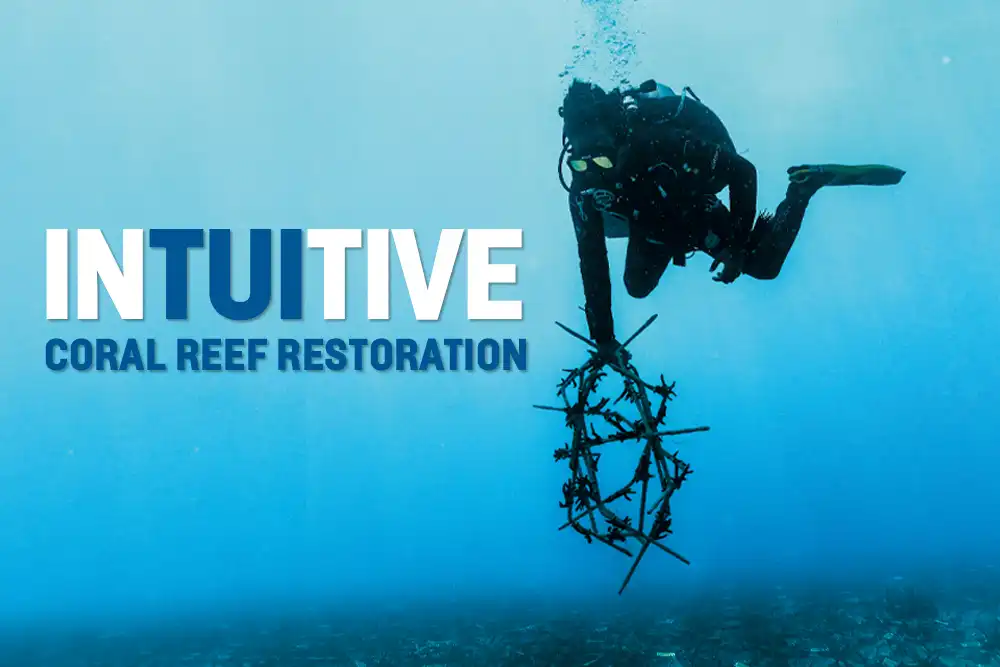 By Mark ‘Crowley’ Russell Scuba diving eco-tourism has seen a