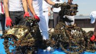 İzmir’in Konak ilçesinde ‘Atıksız Körfez Dönüşen Gelecek’ projesi çerçevesinde Pasaport İskelesi yakınlarında körfez temizliği amacıyla denize dalan dalgıçlar, deniz kıyısından bisiklet, kamp sandalyesi, kaykay ve cam şişeler gibi birçok atık çıkardı. Proje çerçevesinde çıkarılan atıklar, geri dönüşüm fabrikalarına gönderilecek. Konak […]
