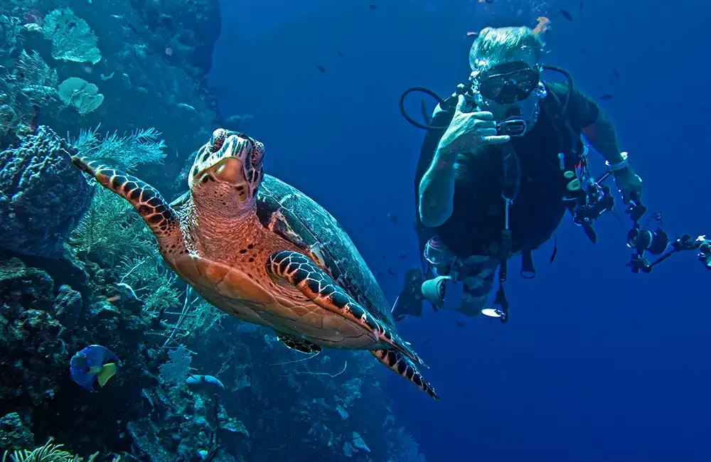Roatan instructor plans 24-hour dive to raise funds for reef protection Roatan-based dive instructor Jay Jeter plans to mark his 60th