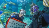 Jenny Stock (right) and LEGOLAND’s head aquarist Rosie David (left) are photobombed by a batfish while Squeak the zebra shark hogs the background (Photo: Jenny Stock) Jenny Stock, British Underwater Photographer of the Year 2024, DIVE contributor and Big Shot […]