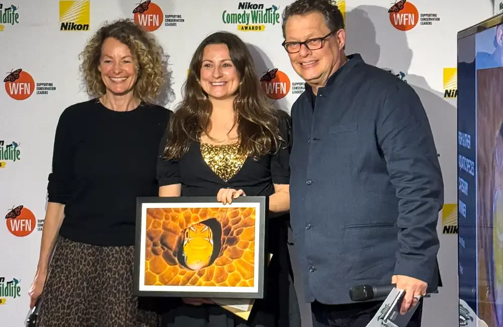 Top DIVE Magazine contributor Jenny Stock has won the Fish