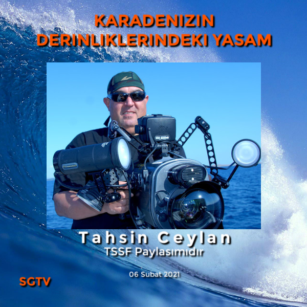   TSSF Paylaşımıdır