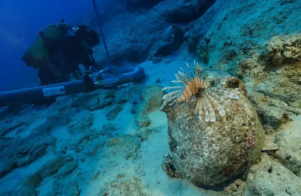 A diver excavating the seabed while a lionfish inspects an