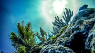 The Florida Keys diving show has already been picked up for a second season. By Brooke Morton Some 15 years ago, Eric Billips took a three-month sabbatical in the Florida Keys from his construction job in Michigan. Surprise: He never […]
