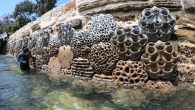 Designed to mimic natural environments like oyster beds and rock pools, these three-dimensional panels restore lost habitiats. By Deborah Dickson Smith Sydney, Australia is one of the world’s most picturesque cities, its iconic Harbour Bridge and Opera House instantly recognizable. […]