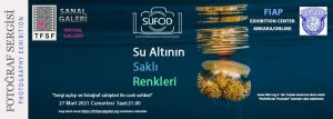 Sualtının Saklı Renkleri