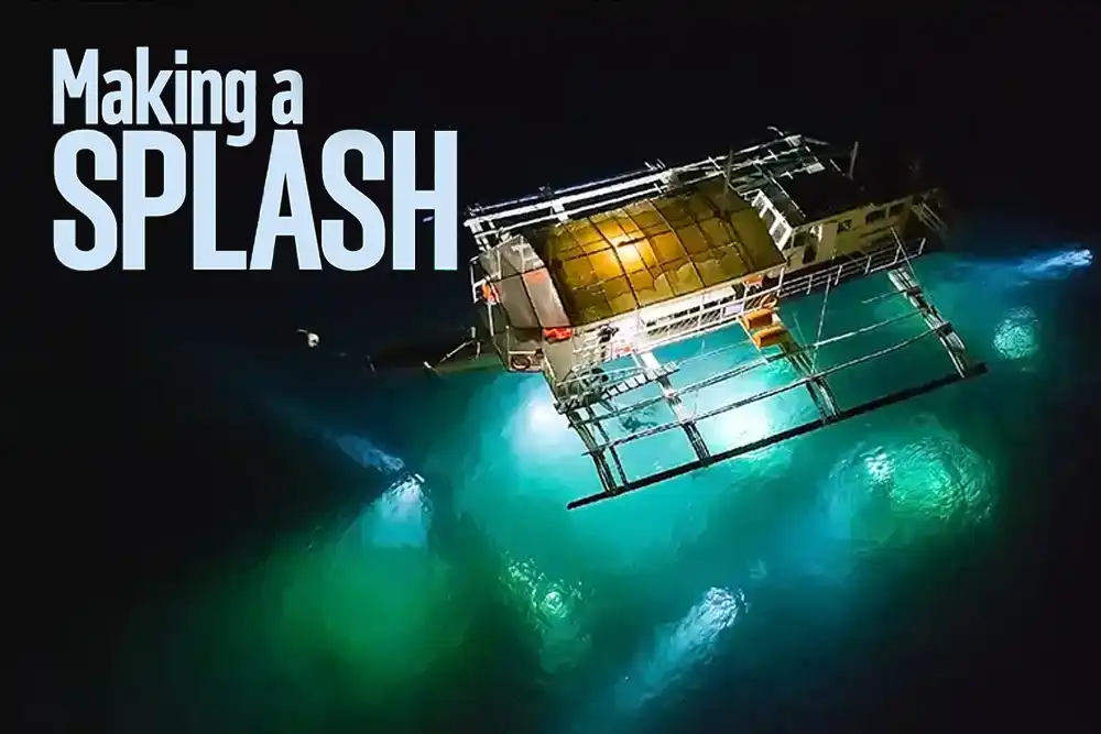 Making a splash – a judge’s eye view of the Dive Dauin underwater photography competition Jenny Stock heads to Dauin in the Philippines to experience
