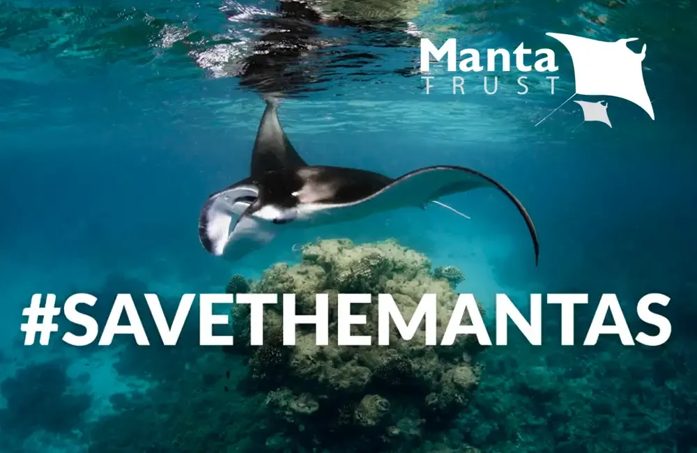 The Manta Trust has launched a new campaign to support
