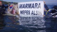 Marmara Denizi’nde büyük çevre felaketine yol açan deniz salyasının yıkıcı etkisini göstererek harekete geçilmesini isteyen dalgıçlar sualtında ‘Marmara Nefes Alsın’ pankartı açtı. Deniz salyasından en çok etkilenen yerlerden İzmit Körfezi’ndeki Eskihisar’da suyun 15 metre derinliğine inen derinlere Saygı Dalış Topluluğu’nun […]