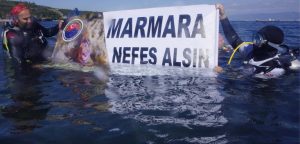 Marmara Denizi’nde büyük çevre felaketine yol açan deniz salyasının yıkıcı