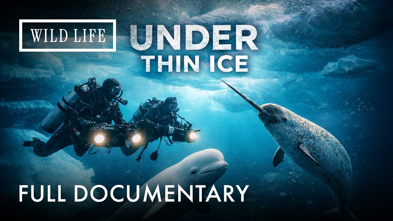 Under Thin Ice Under Thin Ice follows extreme divers and cinematographers—Jill Heinerth and