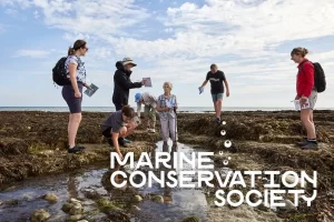 Rockpooling and seaweed searching are fun ways to spend Easter