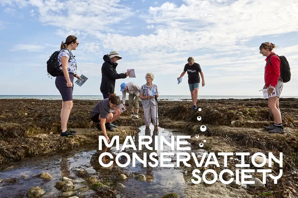 Rockpooling and seaweed searching are fun ways to spend Easter