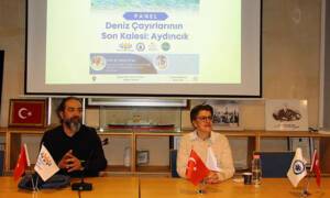 Akdeniz’e özgü deniz çayırı türlerinin, iklim krizi ve insan kaynaklı
