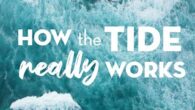 The Waterlust team presents environmental science in creative ways, and in this video they take a deep dive into the physics of the tides. Ever wonder why the tides are bigger in some places than others, why some of us […]