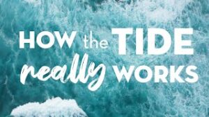 The Waterlust team presents environmental science in creative ways, and