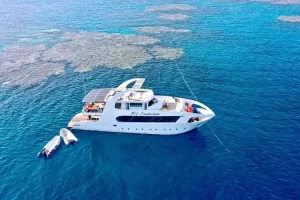 The MY Seaduction sank in Egypt’s St John’s National Park