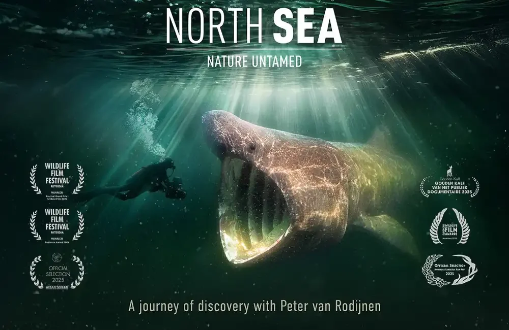 Directed by award-winning filmmaker Mark Verkerk, North Sea, Nature Untamed