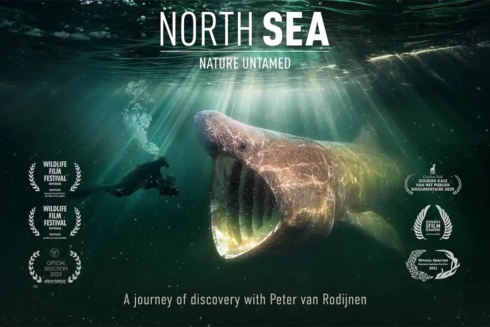 Directed by award-winning filmmaker Mark Verkerk, North Sea, Nature Untamed