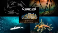 The winners of the 2024 annual Ocean Art underwater photo competition have been announced. The 13th iteration of the competition has seen record-breaking participation with thousands of entries received from more than 90 countries spread across 14 categories and competing […]