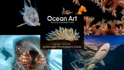 The winners of the 14th annual Ocean Art Underwater Photography