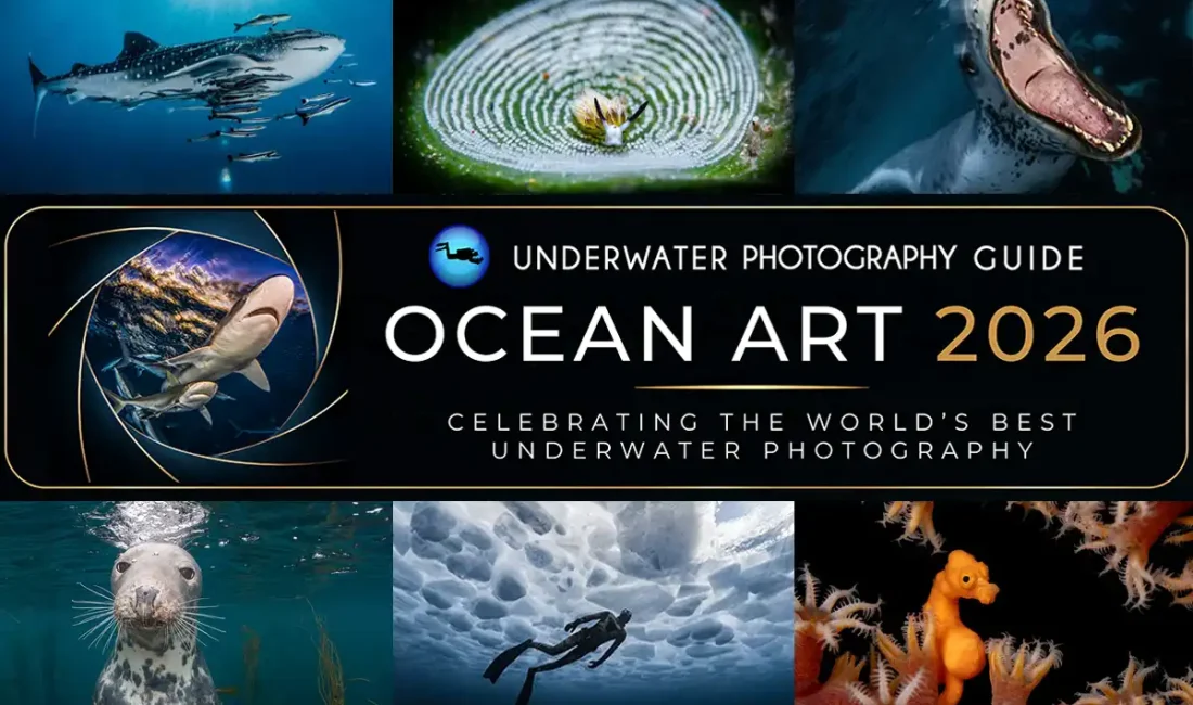The Underwater Photography Guide has opened submissions for the 15th