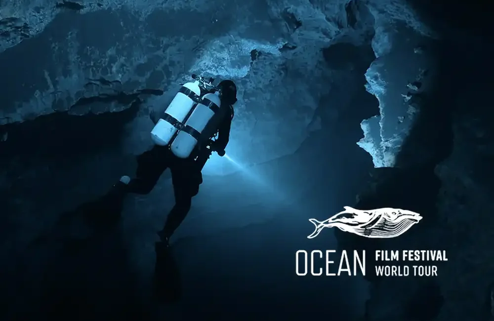 The Ocean Film Festival World Tour is bringing a night of thrilling ocean-themed films to venues around