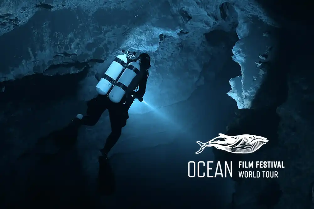 The Ocean Film Festival World Tour is bringing a night of thrilling ocean-themed films to venues around