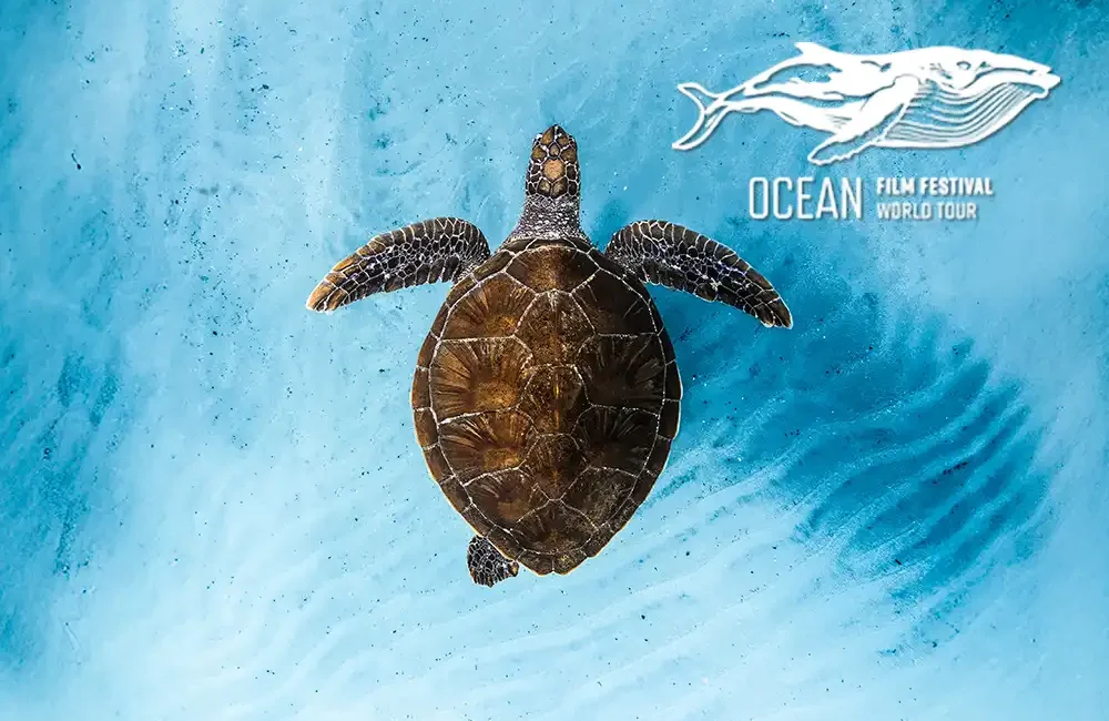 The Ocean Film Festival World Tour is bringing a new