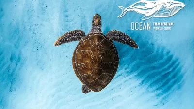 The Ocean Film Festival World Tour is bringing a new