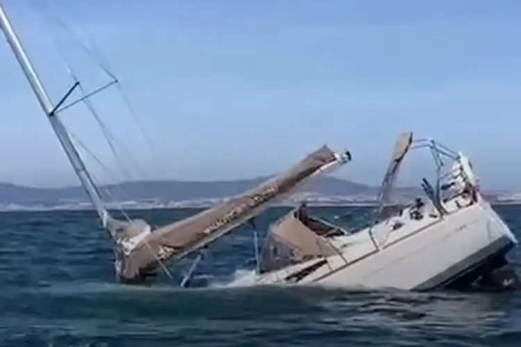 Orcas sink one boat, damage another, off coast of Portugal By Mark ‘Crowley’ Russell One boat has been sunk and