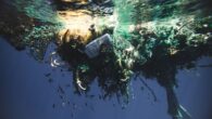 It will all be upcycled, recycled or used by nonprofits. By Tiffany Duong The Pacific Ocean is rid of 96 tons of plastic and garbage thanks to a sailing cargo ship named the KWAI. Operated by the Ocean Voyages Institute […]