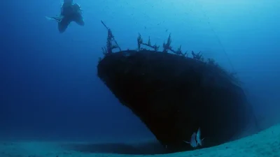 A British scuba diver who died while diving the wreck