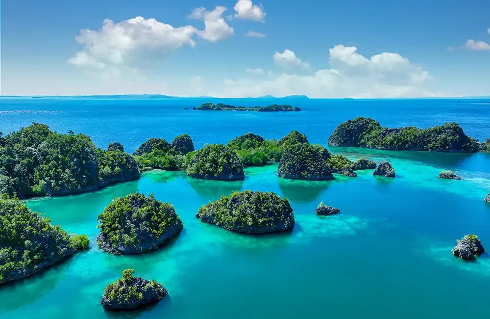Papua New Guinea has announced plans to create a 200,000