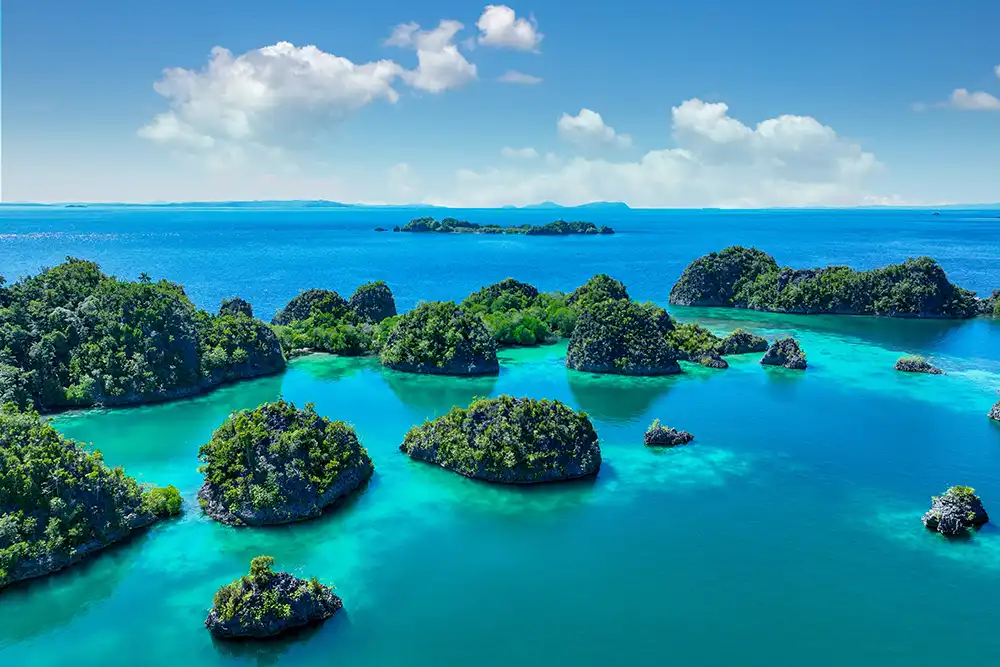 Papua New Guinea has announced plans to create a 200,000