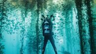 In an ocean fighting for its life, shifting baselines shape every dive. By Patrick Webster The screen I fell asleep to flashes as I fumble for the device.  “Dive?” says the group text. The Bub-ble Buds—a merry band of Monterey […]