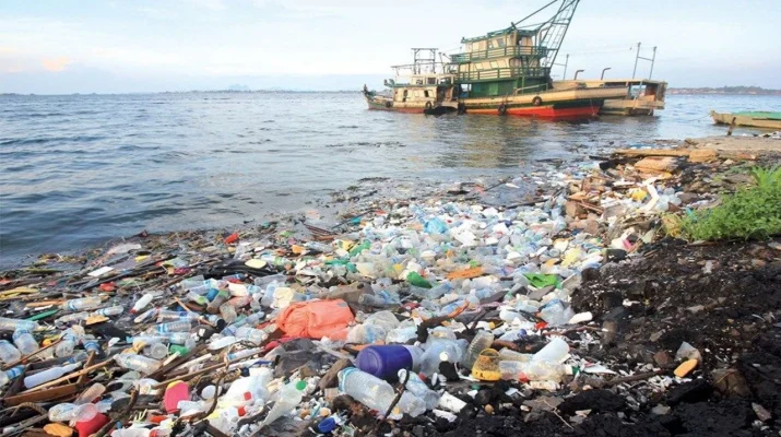 Plastik üretimi, 20’nci yüzyıldan bu yana hızla artarak küresel ölçekte