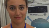 Belya Avcı