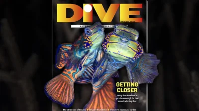 Issue # 43: Alternative perspectives DIVE’s Autumn ’26 magazine is