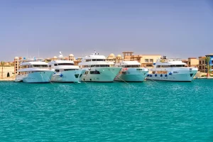 A number of scuba diving liveaboards in the Egyptian Red
