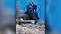 by Erin O’Brien RAMROD KEY, Fla. — A coral species that once thrived, but died as a result of coral bleaching is being reintroduced to Florida’s Coral Reef. If you’ve ever snorkeled or dived in the Florida Keys in the […]