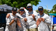Local divers collected a record-setting 426 invasive lionfish during an Earth Day lionfish derby in the Florida Keys. The Forever Young teammates Tony Young, Jason Vogan, Luke Rankin and Jeff Tharp dominated the annual 2022 Earth Day “Locals” Lionfish Derby. […]