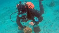 Dingmans Ferry. Each of us needs to take concrete action to preserve our precious resources and restore lost ecosystems. Preaching environmentalism and sustainability from a keyboard is not a substitute for getting your hands dirty and doing the work. After […]