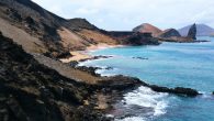By Melissa Smith Thirty new species of deep-sea invertebrates have been discovered by a team of scientists in the Galapagos Islands. Scientists from the Charles Darwin Foundation, the Galapagos National Park Directorate, the Ocean Exploration Trust, and individual biologists used […]