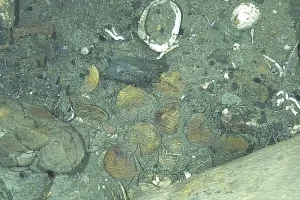 A new survey of the sunken Spanish galleon, San José,
