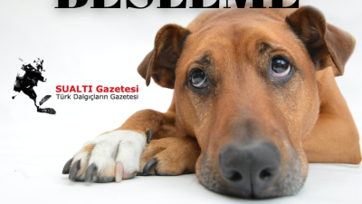 Hiçbir canlının beslenme hakkı yasaklanamaz. Hiçbir idari makam, kanunun üzerinde