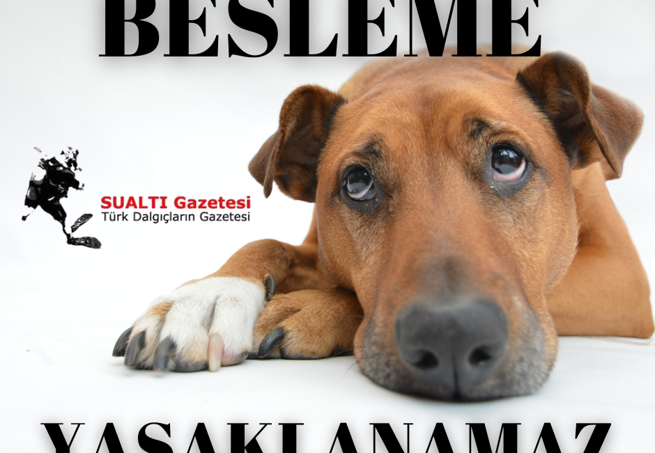 Hiçbir canlının beslenme hakkı yasaklanamaz. Hiçbir idari makam, kanunun üzerinde