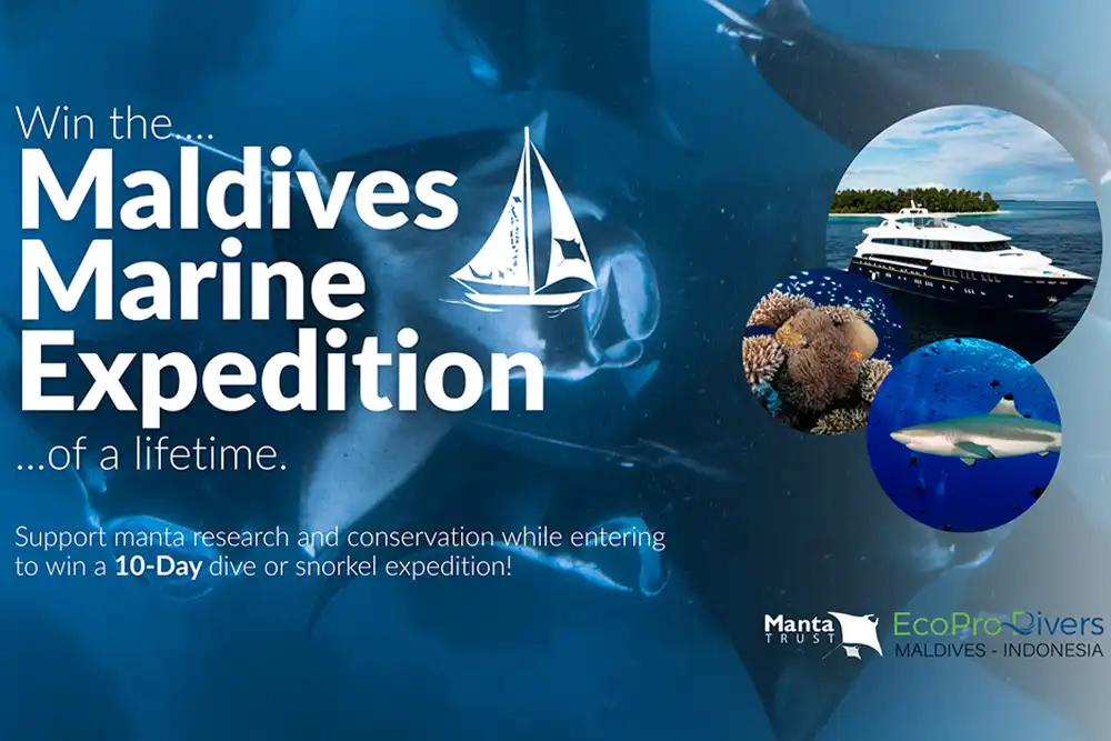 Help save mantas for the chance to win a Maldives liveaboard trip! In honour of next week’s World Manta Day (17 September),